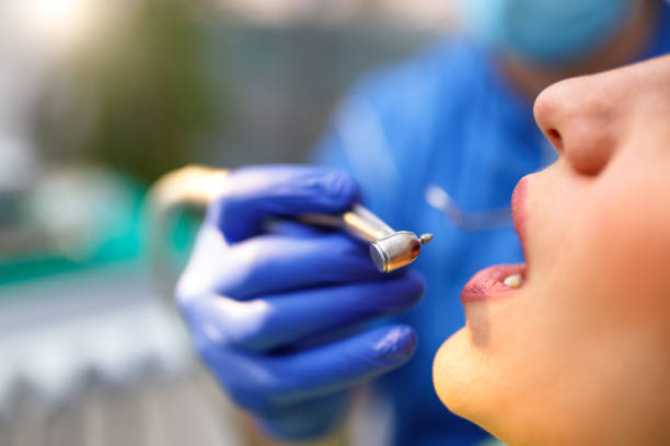 Trusted Califon, NJ  Holistic Dental Services Experts